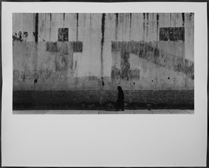 Image description is not available for 2024.083